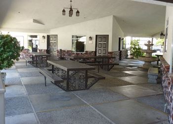 Picnic and bbq area